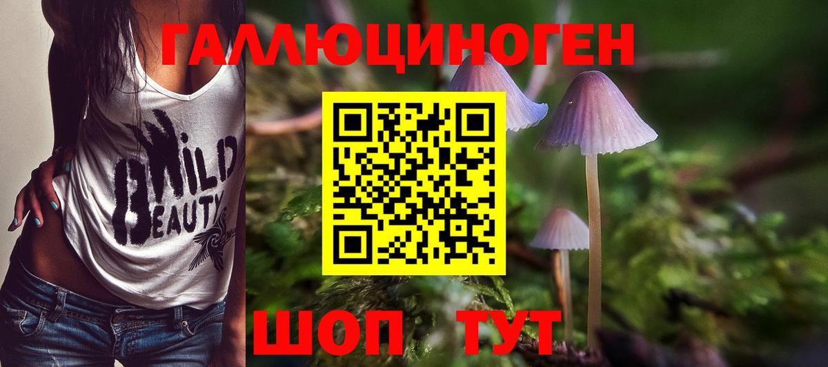 Галлюциногенные грибы мицелий  Вход с VPN  Улан-Удэ  Псилоцибиновые грибы Magic Shrooms 